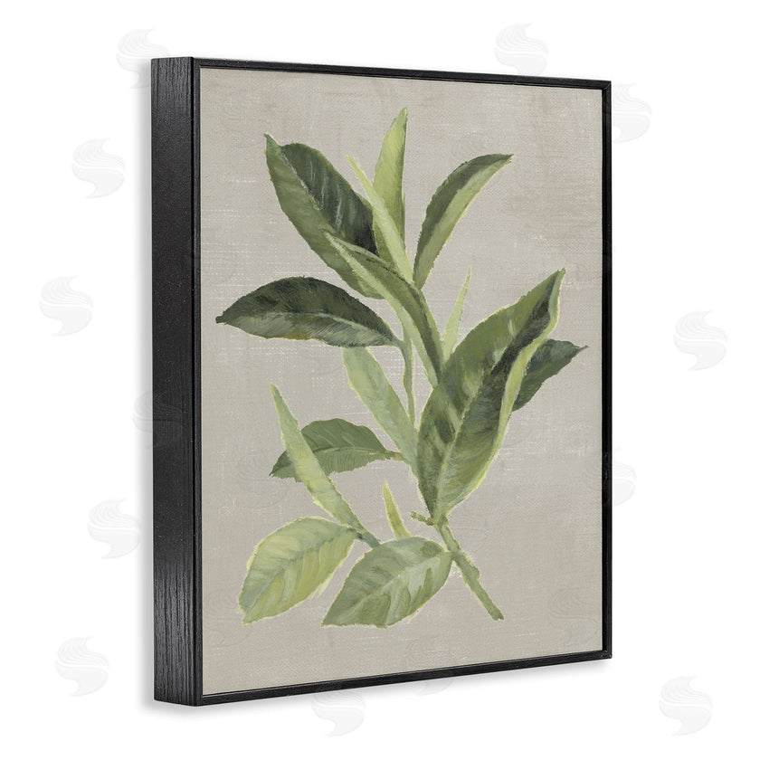 Lanie Loreth | Green Tea Plant Leaf