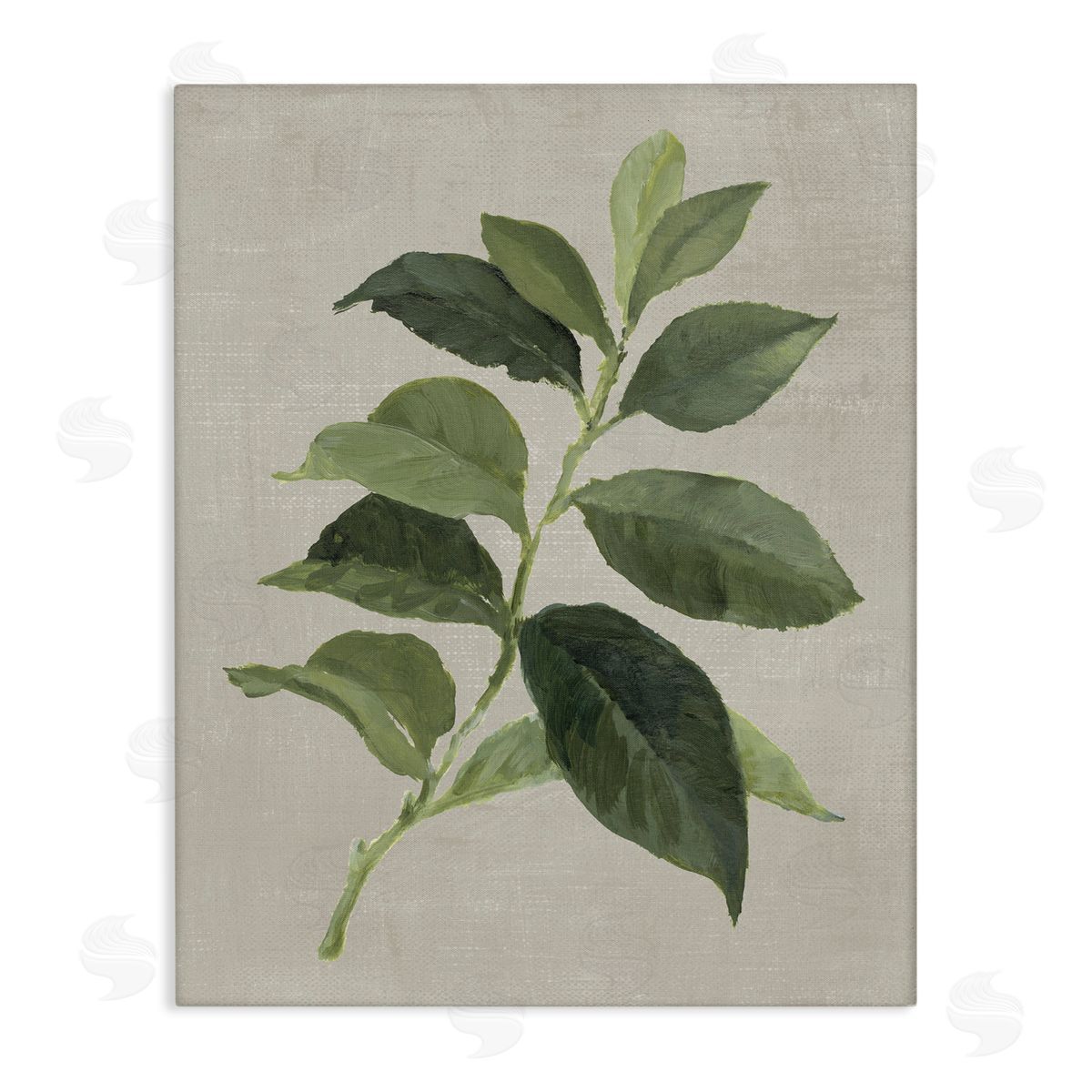 Arabica Coffee Plant Leaf Canvas Wall Art, Home Decor by Lanie Loreth