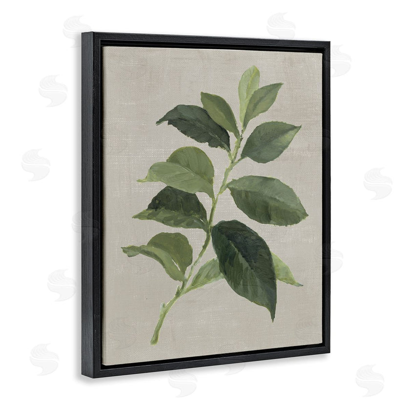 Lanie Loreth | Arabica Coffee Plant Leaf