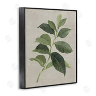 Lanie Loreth | Arabica Coffee Plant Leaf