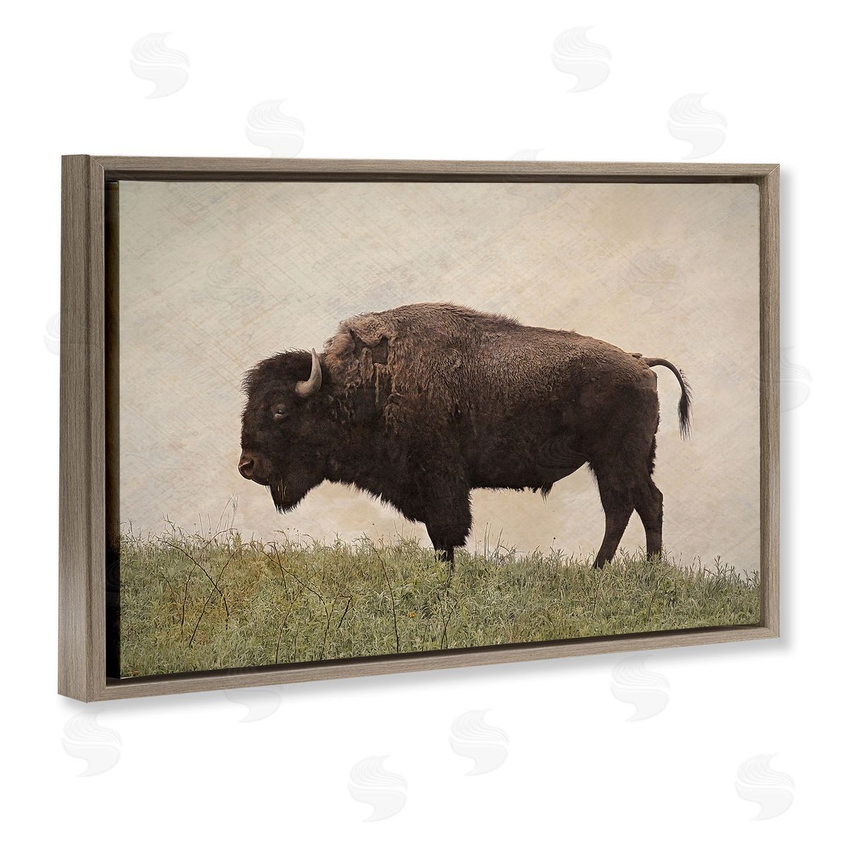 Serene Buffalo on Country Hill Brown Floating Frame Canvas Wall Art, Home Decor by Steve Toole