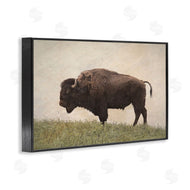 Steve Toole | Serene Buffalo on Country Hill