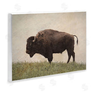 Steve Toole | Serene Buffalo on Country Hill