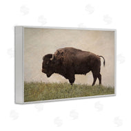Steve Toole | Serene Buffalo on Country Hill
