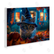 Wumples | Halloween Witch Kitten & Pumpkin