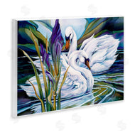 Jody Bergsma | Swans with Abstract Pond Ripples