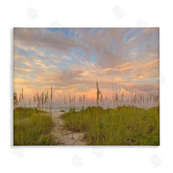 Mary Lou Johnson | Serene Coastal Path Grasses