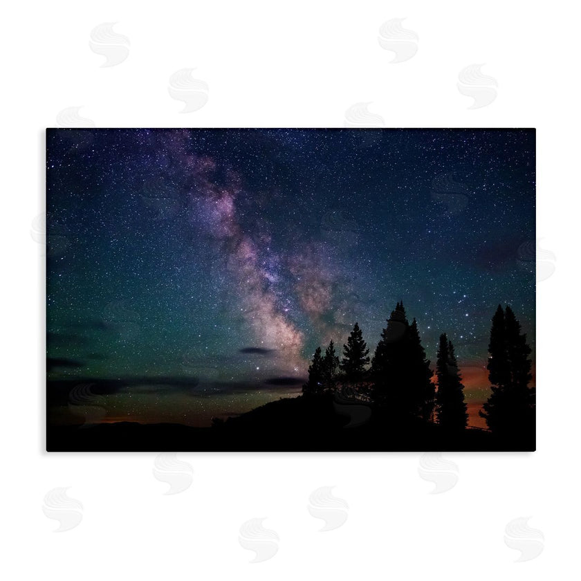Royce Bair | Silhouetted Forest & Night Sky