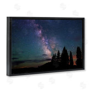 Royce Bair | Silhouetted Forest & Night Sky