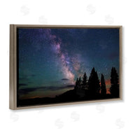 Royce Bair | Silhouetted Forest & Night Sky