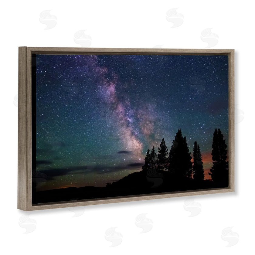 Royce Bair | Silhouetted Forest & Night Sky