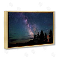Royce Bair | Silhouetted Forest & Night Sky
