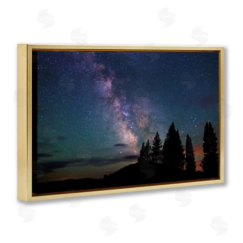Royce Bair | Silhouetted Forest & Night Sky