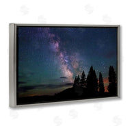 Royce Bair | Silhouetted Forest & Night Sky