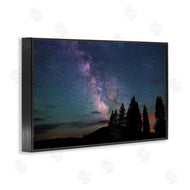 Royce Bair | Silhouetted Forest & Night Sky