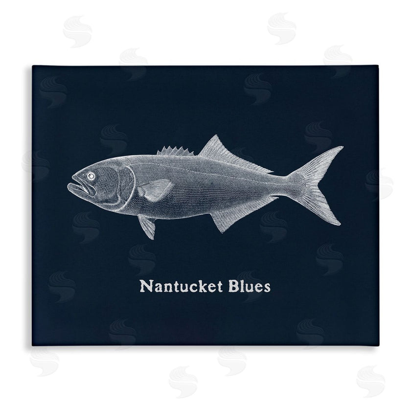 Phillipa Katz | Nantucket Blues Fish