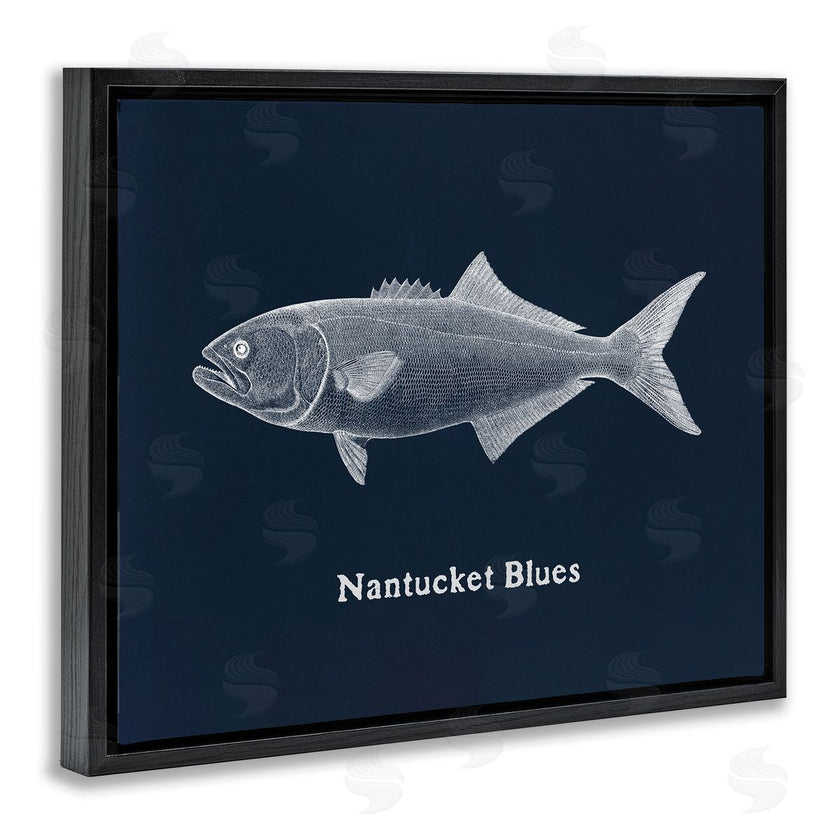 Phillipa Katz | Nantucket Blues Fish