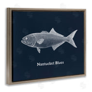 Phillipa Katz | Nantucket Blues Fish