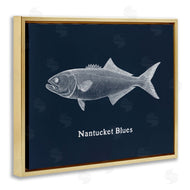 Phillipa Katz | Nantucket Blues Fish