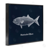 Phillipa Katz | Nantucket Blues Fish