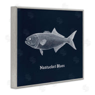 Phillipa Katz | Nantucket Blues Fish