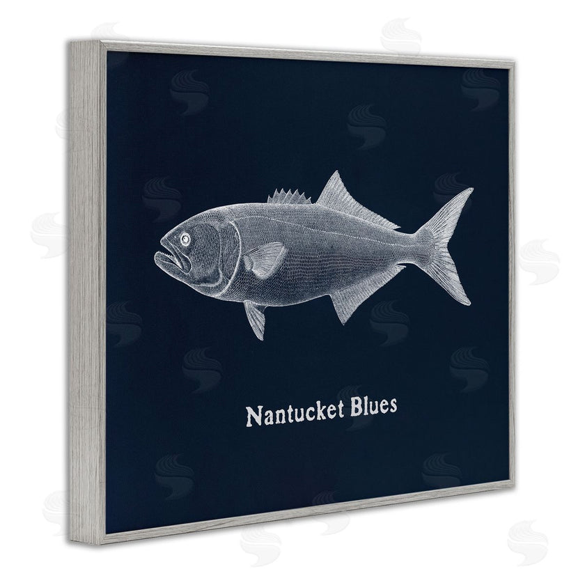 Phillipa Katz | Nantucket Blues Fish