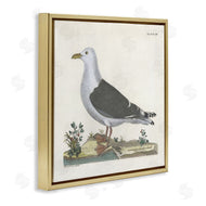 Phillipa Katz | Vintage Seagull Study Diagram