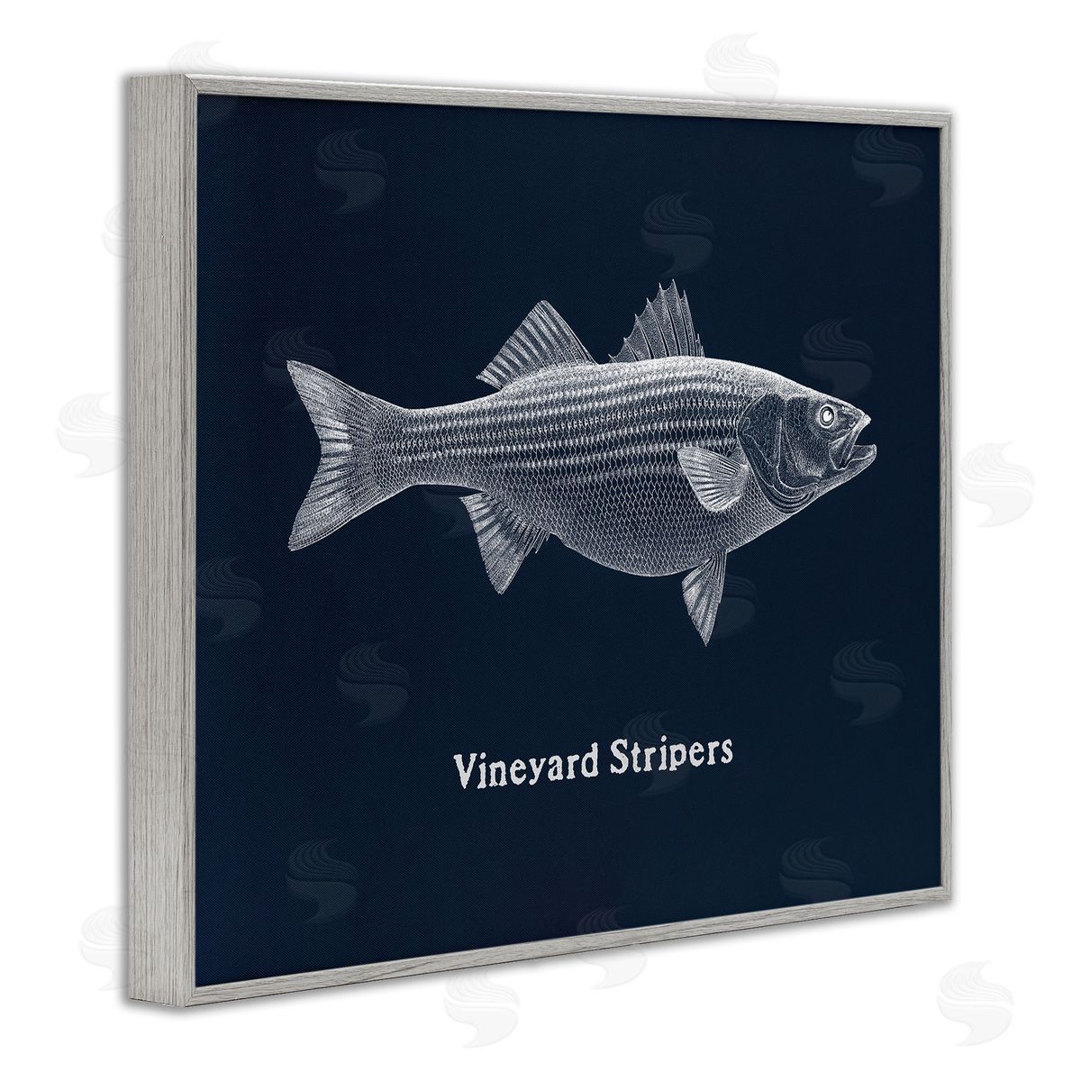 Vineyard Stripers Fish Grey Frame Print Wall Art, Home Decor by Phillipa Katz