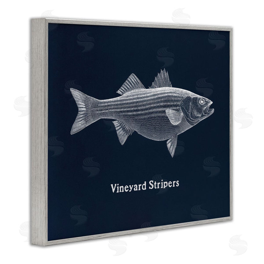 Phillipa Katz | Vineyard Stripers Fish