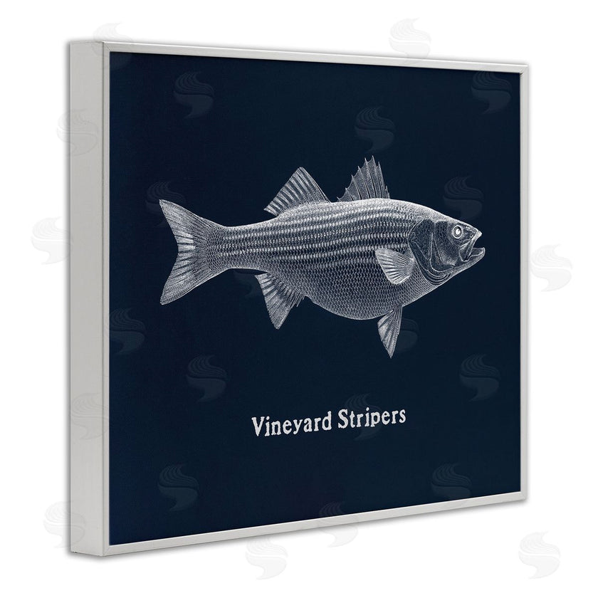 Phillipa Katz | Vineyard Stripers Fish