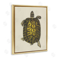 Phillipa Katz | Vintage Maritime Tortoise