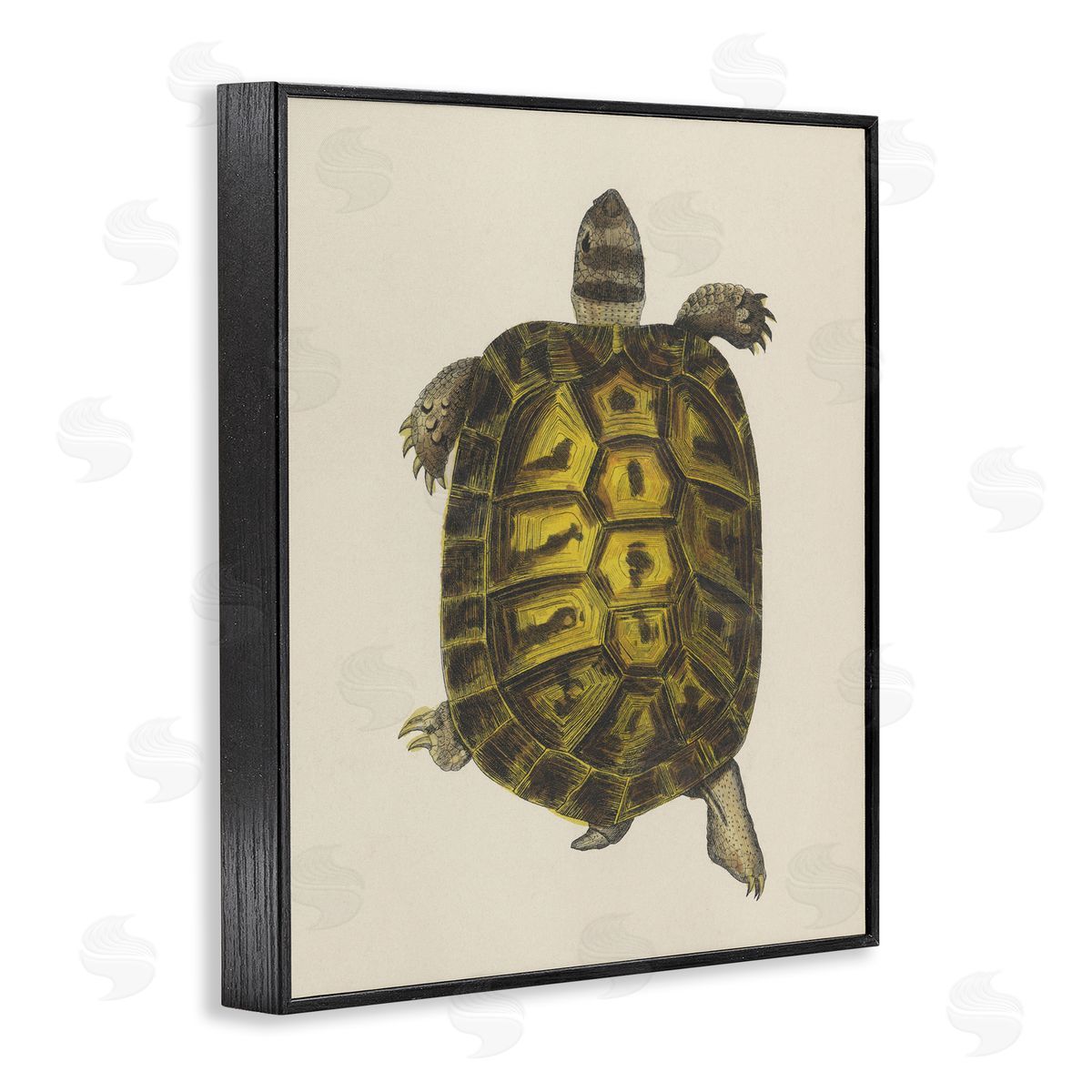 Vintage Maritime Tortoise Black Frame Print Wall Art, Home Decor by Phillipa Katz