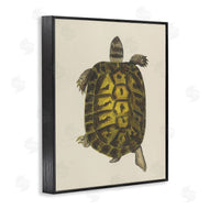 Phillipa Katz | Vintage Maritime Tortoise