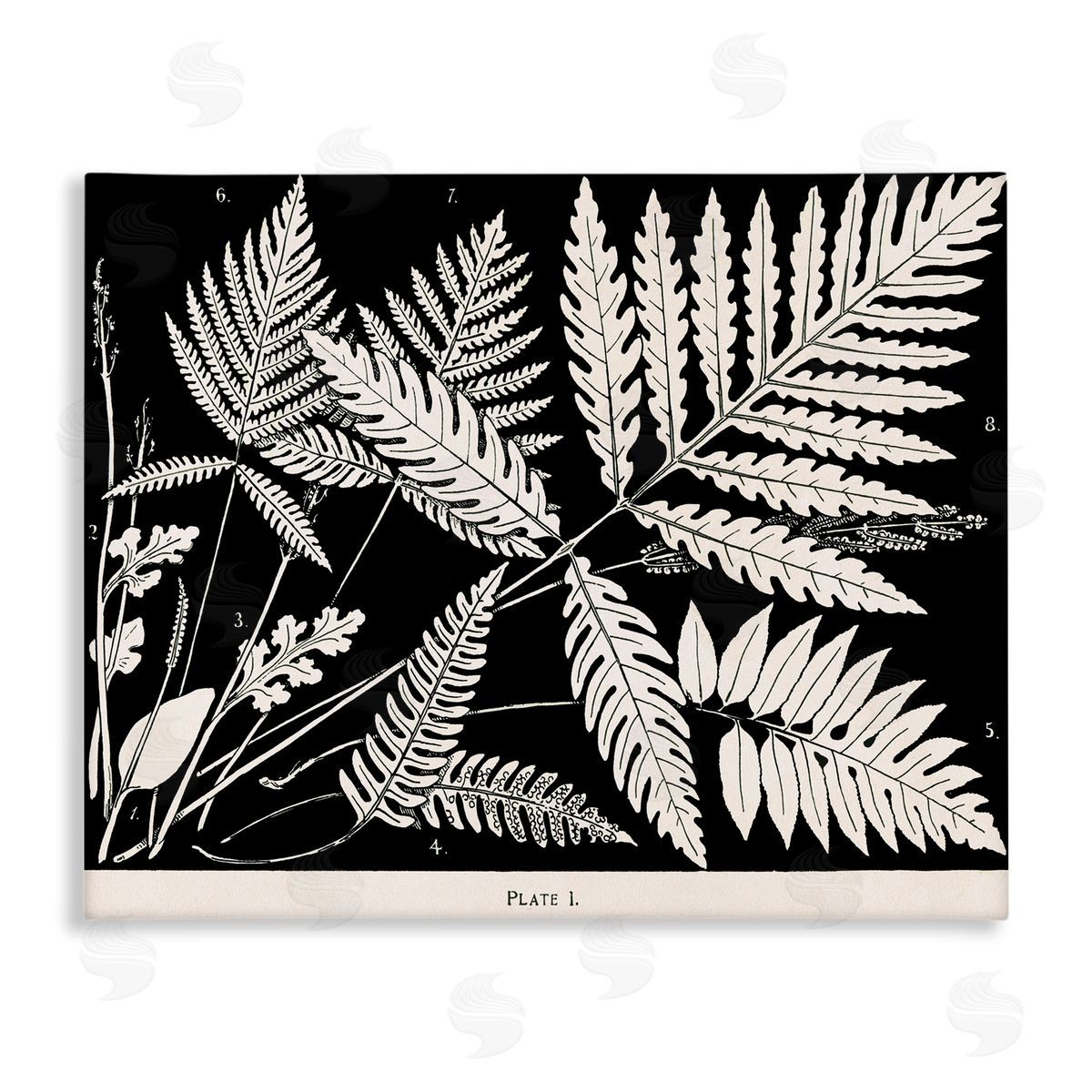 Overlapping Ferns on Black Canvas Wall Art, Home Decor by Phillipa Katz