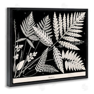 Phillipa Katz | Overlapping Ferns on Black