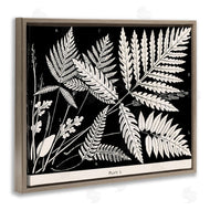 Phillipa Katz | Overlapping Ferns on Black