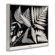 Phillipa Katz | Overlapping Ferns on Black