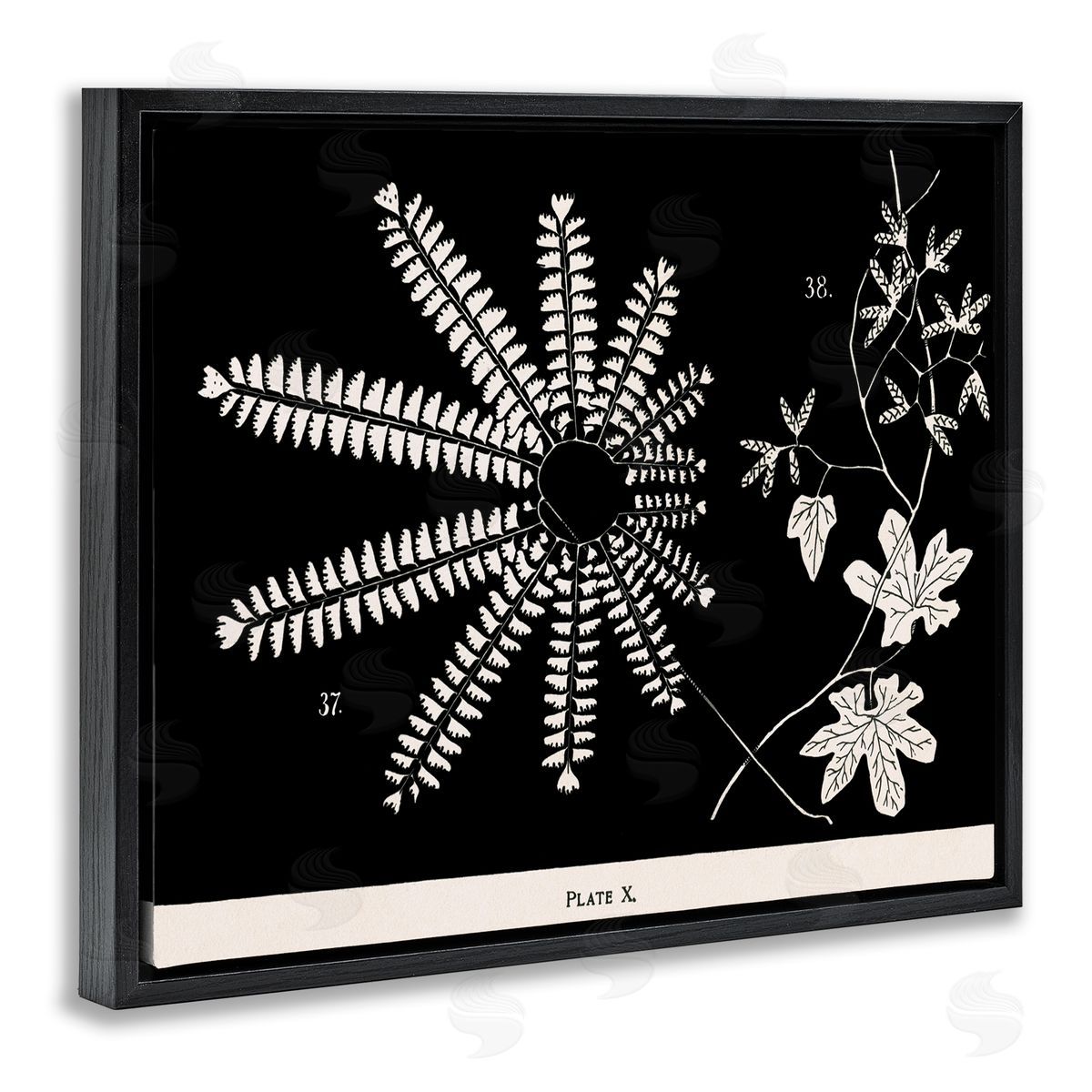 Ferns & Leaves on Black Black Floating Frame Canvas Wall Art, Home Decor by Phillipa Katz