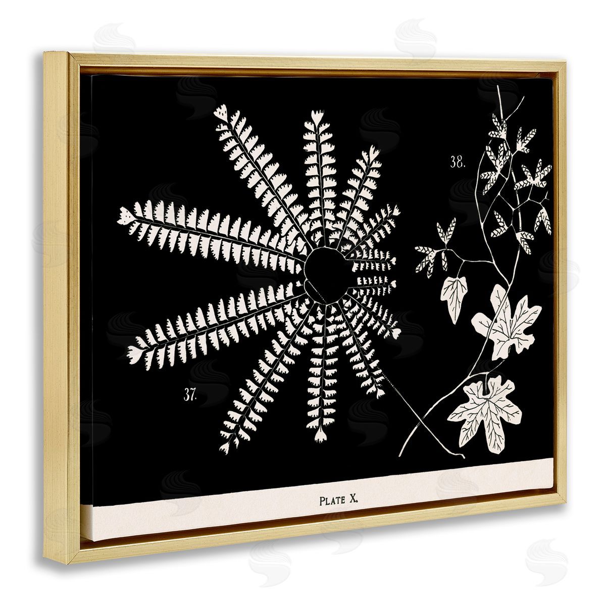 Ferns & Leaves on Black Gold Floating Frame Canvas Wall Art, Home Decor by Phillipa Katz