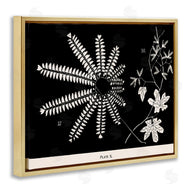 Phillipa Katz | Ferns & Leaves on Black