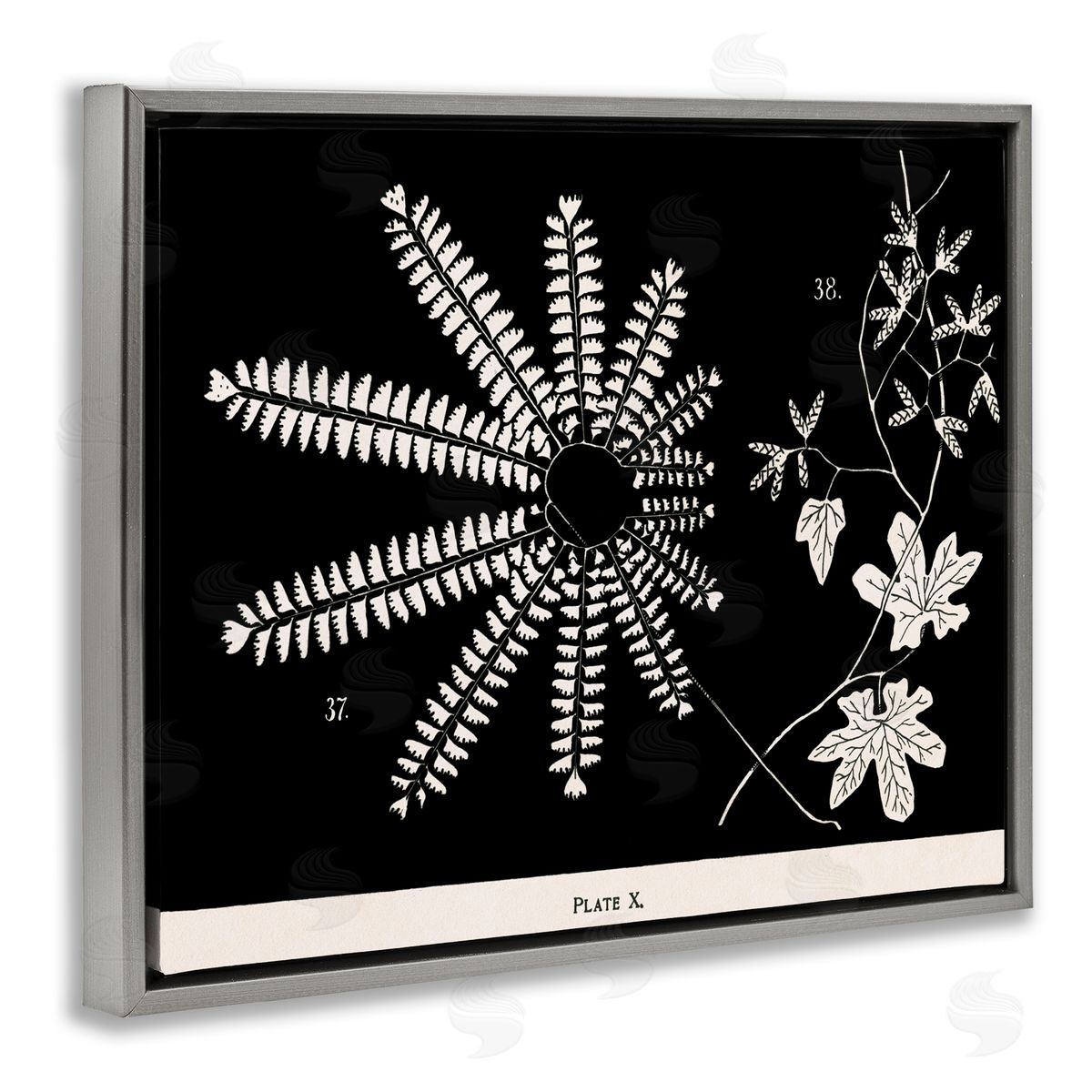 Ferns & Leaves on Black Grey Floating Frame Canvas Wall Art, Home Decor by Phillipa Katz