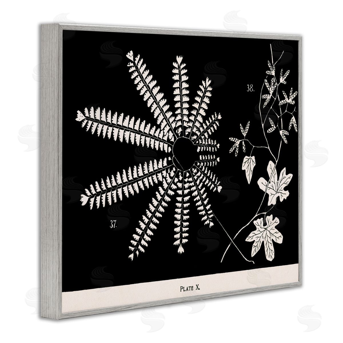 Ferns & Leaves on Black Grey Frame Print Wall Art, Home Decor by Phillipa Katz