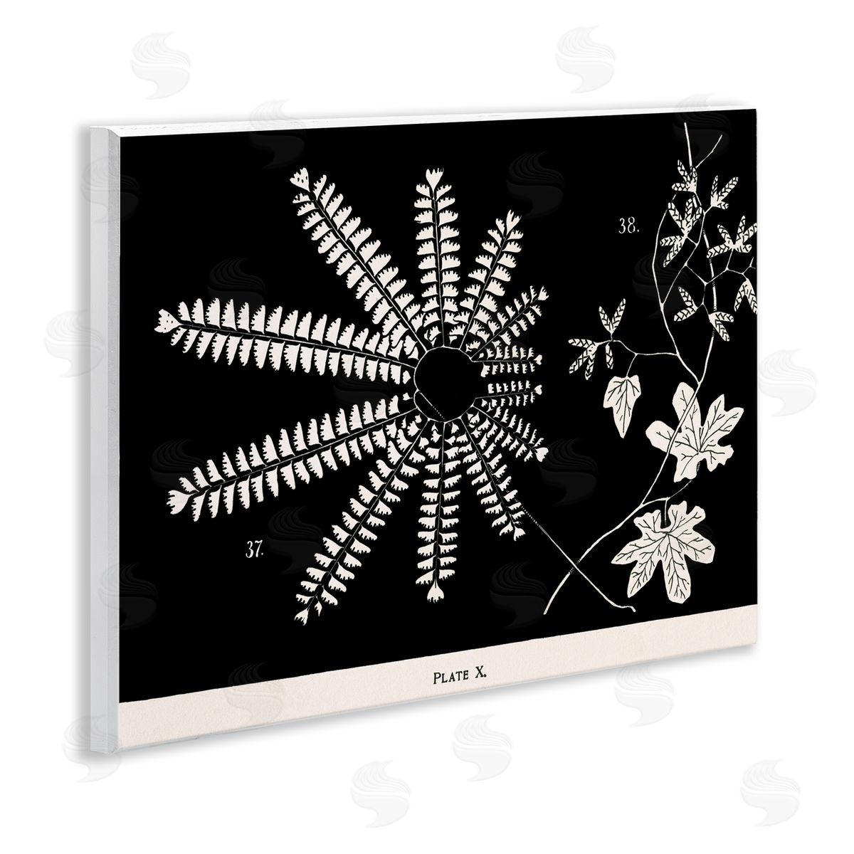 Ferns & Leaves on Black Wood Plaque Wall Art, Home Decor by Phillipa Katz