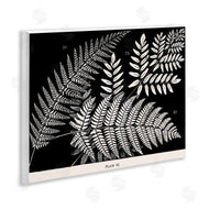 Phillipa Katz | Fern Varieties on Black