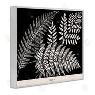 Phillipa Katz | Fern Varieties on Black
