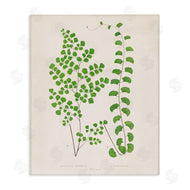 Phillipa Katz | Vivid Green Ferns Study