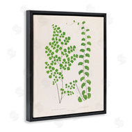 Phillipa Katz | Vivid Green Ferns Study
