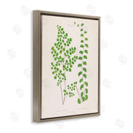 Phillipa Katz | Vivid Green Ferns Study