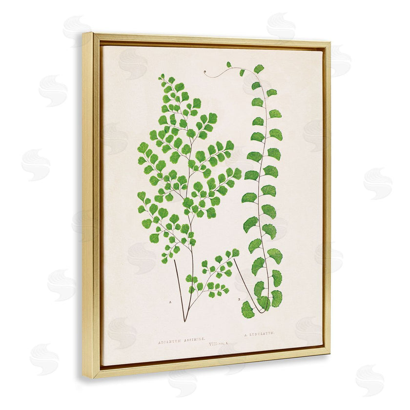 Phillipa Katz | Vivid Green Ferns Study