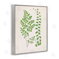 Phillipa Katz | Vivid Green Ferns Study